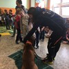 Fotografie 21 - Bezpečný pes