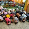 Fotografie 18 - Bezpečný pes