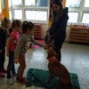 Fotografie 19 - Bezpečný pes