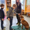 Fotografie 11 - Bezpečný pes