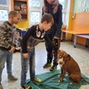 Fotografie 12 - Bezpečný pes