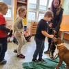 Fotografie 14 - Bezpečný pes