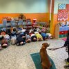 Fotografie 9 - BEZPEČNÝ PES