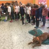 Fotografie 3 - Ochrana před napadením psem a výcvik psa