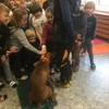 Fotografie 4 - Ochrana před napadením psem a výcvik psa