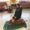 Fotografie 7 - Ochrana před napadením psem a výcvik psa