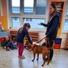 Fotografie 6 - Bezpečný pes