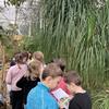 Fotografie 7 - Exkurze do BOTANICKÉ ZAHRADY