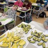 Fotografie 11 - Ochutnávka ovoce