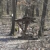 Fotografie 11 - PŘÍRODA SE PROBOUZÍ