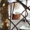 Fotografie 12 - PŘÍRODA SE PROBOUZÍ