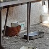 Fotografie 13 - PŘÍRODA SE PROBOUZÍ