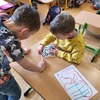 Fotografie 14 - Ozoboti