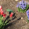 Fotografie 8 - Botanická zahrada Teplice