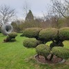Fotografie 18 - Botanicus