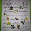 Fotografie 22 - Návštěva knihovny