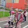 Fotografie 10 - KOLOBĚŽKY