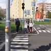 Fotografie 29 - KOLOBĚŽKY
