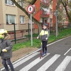 Fotografie 19 - KOLOBĚŽKY