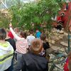 Fotografie 9 - Výprava do Botanické zahrady