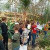 Fotografie 14 - Výprava do Botanické zahrady