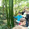 Fotografie 19 - Výprava do Botanické zahrady