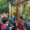 Fotografie 21 - Výprava do Botanické zahrady