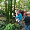 Fotografie 22 - Výprava do Botanické zahrady