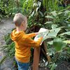 Fotografie 23 - Výprava do Botanické zahrady