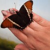 Fotografie 21 - Škola v přírodě - Čtvrtek