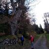 Fotografie 11 - ŠvP Den šestý