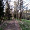 Fotografie 12 - ŠvP Den šestý