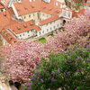 Fotografie 15 - Turistický kroužek - Výlet do Prahy
