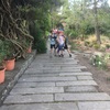 Fotografie 14 - Návštěva Botanické zahrady v Teplicích