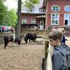 Fotografie 24 - Škola v přírodě 4. den první část