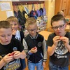 Fotografie 9 - SKLÍZÍME PRVNÍ ÚRODU