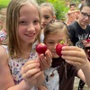 Fotografie 10 - SKLÍZÍME PRVNÍ ÚRODU