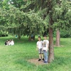 Fotografie 29 - Školní zahrada