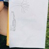 Fotografie 5 - Výtvarka venku