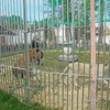 Fotografie 38 - Škola v přírodě POSLŮV MLÝN
