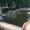 Fotografie 11 - Výlet do Zooparku Chomutov