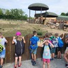 Fotografie 2 - ZOO v Ústí nad Labem