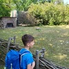 Fotografie 5 - ZOO v Ústí nad Labem