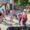 Fotografie 9 - ZOO v Ústí nad Labem