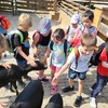 Fotografie 10 - ZOO v Ústí nad Labem