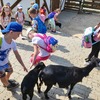 Fotografie 12 - ZOO v Ústí nad Labem