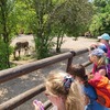 Fotografie 14 - ZOO v Ústí nad Labem