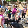 Fotografie 15 - ZOO v Ústí nad Labem