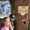Fotografie 18 - ZOO v Ústí nad Labem