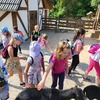 Fotografie 19 - ZOO v Ústí nad Labem